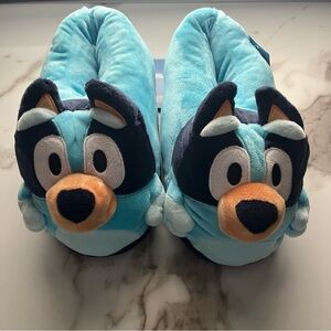 Bluey Slippers